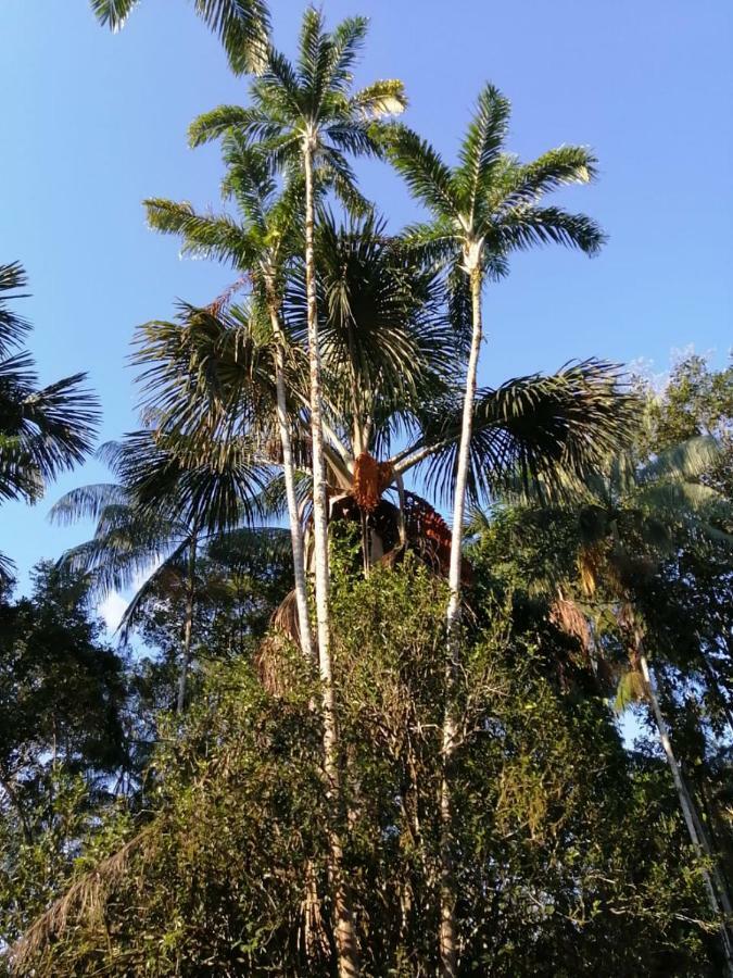 Palmayacu - Refugio Amazonico Leticia Kültér fotó