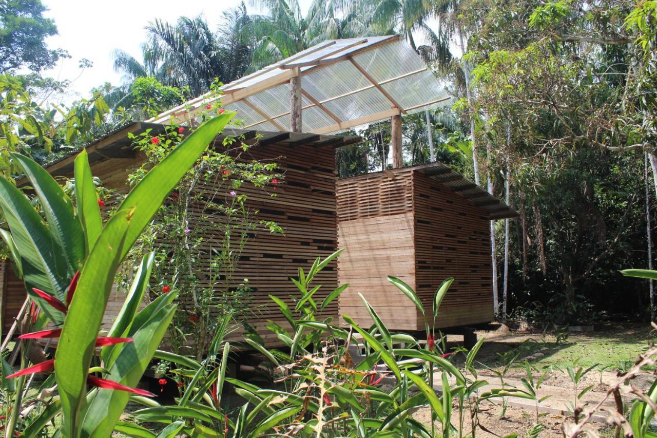 Palmayacu - Refugio Amazonico Leticia Kültér fotó