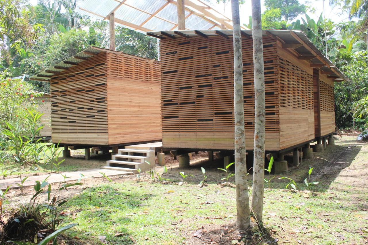Palmayacu - Refugio Amazonico Leticia Kültér fotó